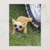 Whiz Kid Postkarte (Vorderseite)