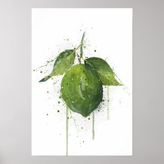 Whole Lime Fruit  Poster (Vorne)