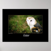 Whooie Poster (Vorne)