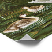 "Whooper Swan" Vintage Vogeldarstellung Poster (Ecke)