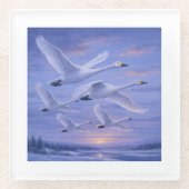 Whooper Swans at Dusk Glasuntersetzer (Vorderseite)