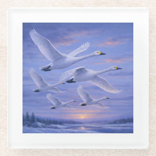 Whooper Swans at Dusk Glasuntersetzer (Vorderseite)