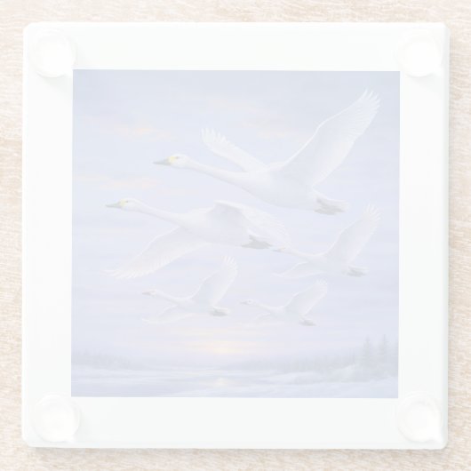 Whooper Swans at Dusk Glasuntersetzer (Rückseite)