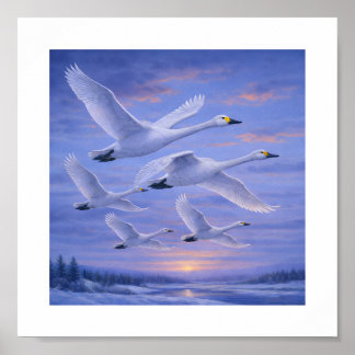 Whooper Swans in Winter Sky – Japanese Wild Bird Poster