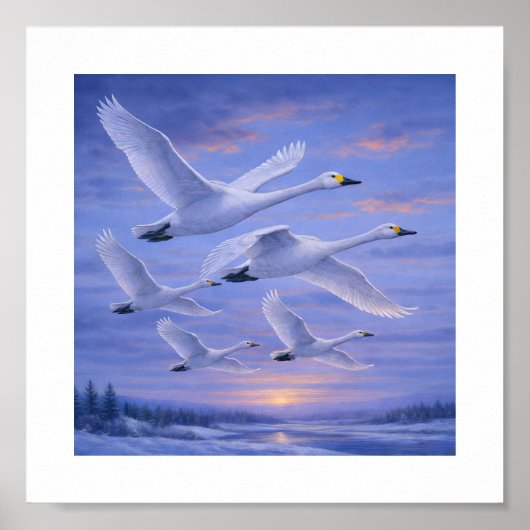 Whooper Swans in Winter Sky – Japanese Wild Bird Poster (Vorne)
