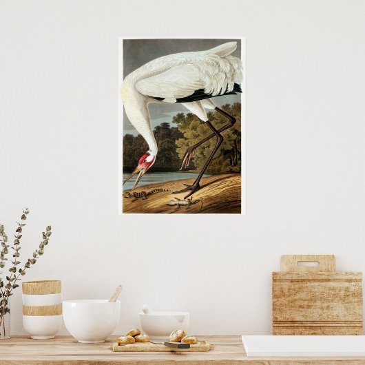 Whooping Crane von John James Audubon Poster (Küche)