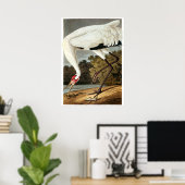 Whooping Crane von John James Audubon Poster (Heimbüro)