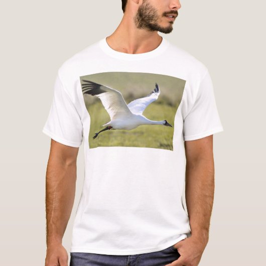 Whooping Kran (Grus Americana) T-Shirt (Vorderseite)