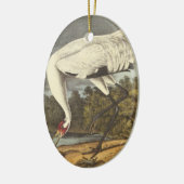 Whooping Kran, John Audubon Keramikornament (Links)