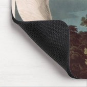 Whooping Kran, 'von den Vögeln von Amerika Mousepad (Ecke)