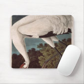 Whooping Kran, 'von den Vögeln von Amerika Mousepad (Mit Mouse)