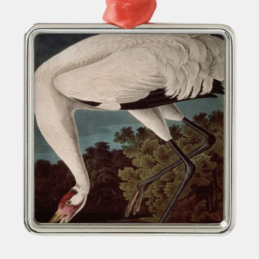 Whooping Kran, 'von den Vögeln von Amerika Silbernes Ornament (Vorne)