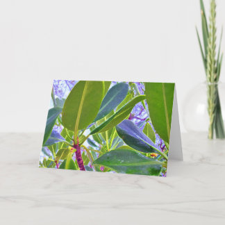 Whoops dort geht ein anderer Gummibaum Feiertagskarte