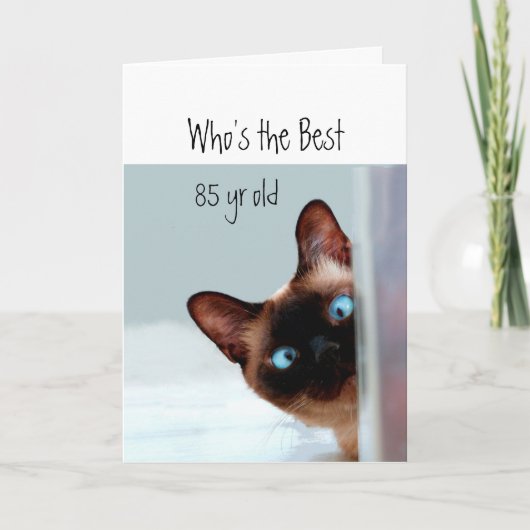 Who's the best 85 yr old Cat Kitten Humor Karte (Vorderseite)