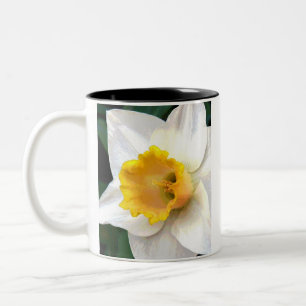 Whte Narzisse mit gelber Mitte Zweifarbige Tasse