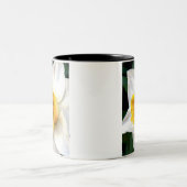 Whte Narzisse mit gelber Mitte Zweifarbige Tasse (Mittel)