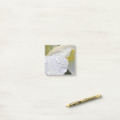 Whtie sibirische Iris-Regen-Tropfen Post-it Klebezettel (Auf Schreibtisch)