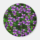WI Staat Blume Wood Violet Mosaik Muster Magnet (Vorne)