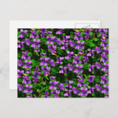 WI Staat Blume Wood Violet Mosaik Muster Postkarte (Vorne/Hinten)