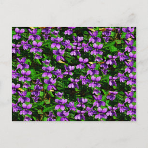 WI Staat Blume Wood Violet Mosaik Muster Postkarte