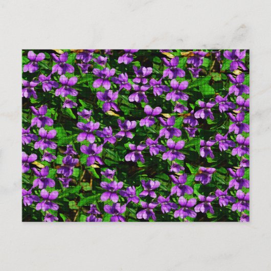 WI Staat Blume Wood Violet Mosaik Muster Postkarte (Vorderseite)