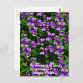 WI Staat Blume Wood Violet Mosaik Muster Postkarte (Vorne/Hinten)