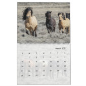 Wicahpi Hinhpaya - Ein gefallener Stern: Kalender (Mär 2027)