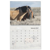 Wicahpi Hinhpaya - Ein gefallener Stern: Kalender (Feb 2027)