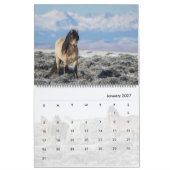 Wicahpi Hinhpaya - Ein gefallener Stern: Kalender (Jan 2027)