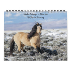 Wicahpi Hinhpaya - Ein gefallener Stern: Kalender 