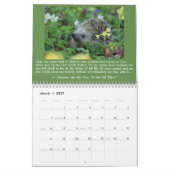 Wicca 2020 Kalender (Mär 2027)