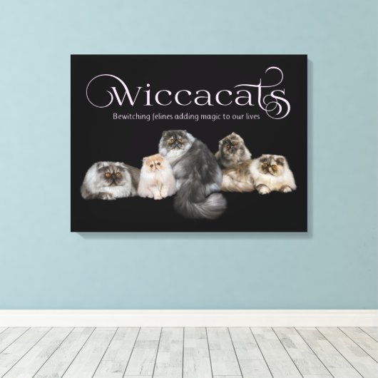 WiccaCats Art Leinwand (Insitu (Holzboden))