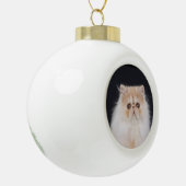 WiccaCats Meira Ball Ornament (Links)
