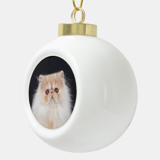 WiccaCats Meira Ball Ornament (Rechts)