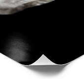WiccaCats-Plakat Poster (Ecke)