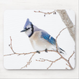 Wichita County, Texas. Blauhäher Mousepad