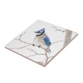 Wichita Landkreis, Texas. Blue Jay Fliese (Seite)