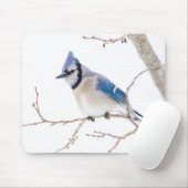 Wichita Landkreis, Texas. Blue Jay Mousepad (Mit Mouse)
