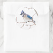 Wichita Landkreis, Texas. Blue Jay Runder Aufkleber (Tasche)