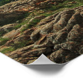 Wichita Mountains Vista mit American Bison Poster (Ecke)