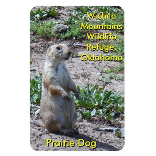Wichita Mountains Wildlife Refuge Prairie Dog Magnet (Vertikal)