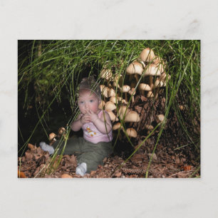 Wichtel am Baumpilz Postkarte
