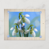 Wichtel im Frühling Postkarte (Vorderseite)