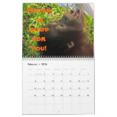 Wichtige Lehren für Kinder von Krista Orangutan Kalender (Feb 2026)