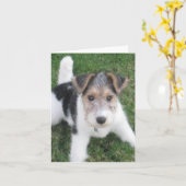 Wichtiger Hinweis für Wire Karte (Gelbe Blume)