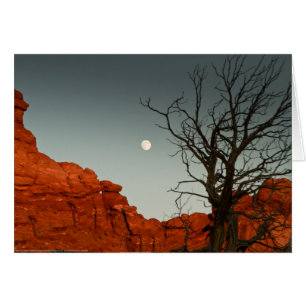 Wicked Moon