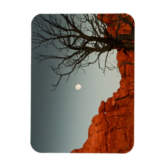 Wicked Moon Magnet (Vertikal)