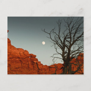 Wicked Moon Postkarte