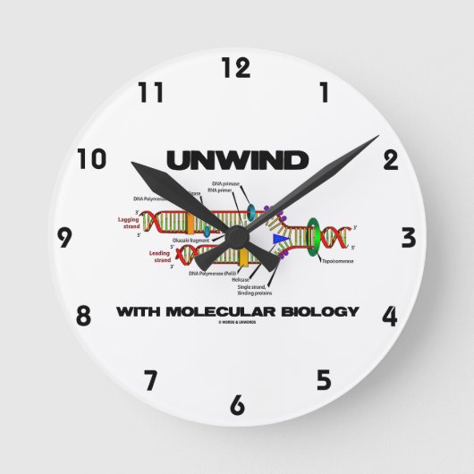 Wickeln Sie sich mit Molekularbiologie ab Runde Wanduhr (Vorderseite)