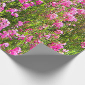 Wicken auf dem Hügel.... Geschenkpapier (Ecke)